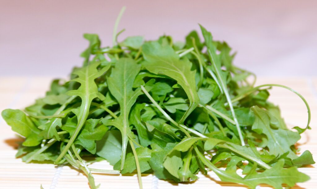 Arugula also known as Rocket