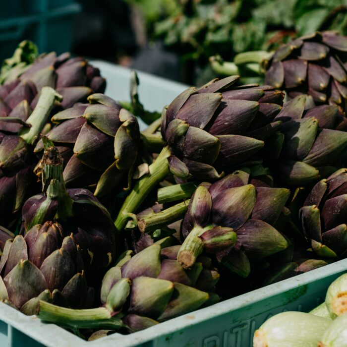 Photo of Artichoke in a Plastic Tray