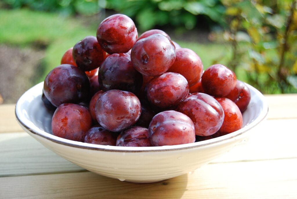 A bowl filled with plums placed outdoors in a garden setting.